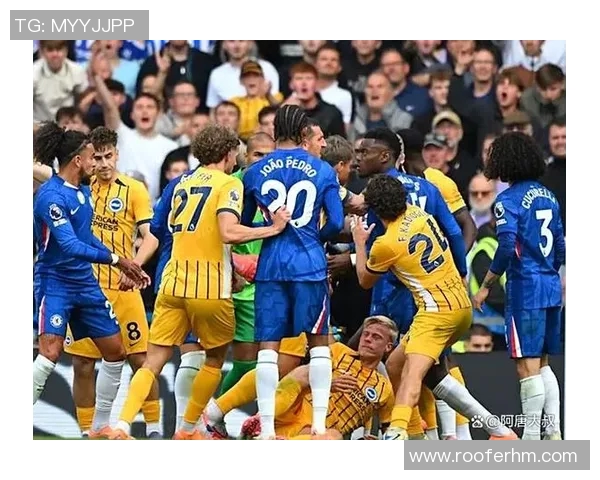 2018年12月16日布莱顿主场迎战切尔西精彩赛事回顾与分析